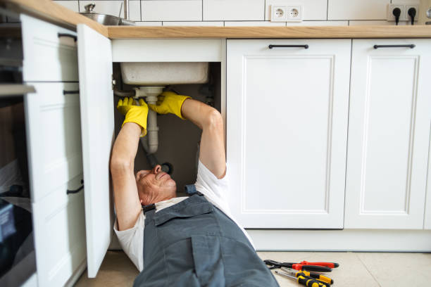 Best Garbage Disposal Repair and Installation  in Pine Castle, FL